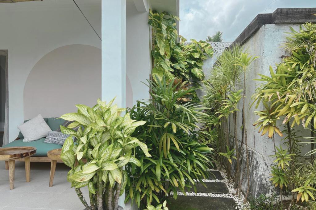 Villa Palma Padang Linjong Canggu (Bali)